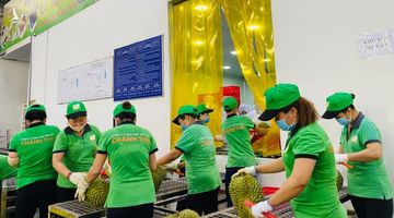 The Star: Việt Nam và tiềm năng trở thành cường quốc kinh tế nhờ “siêu quả”