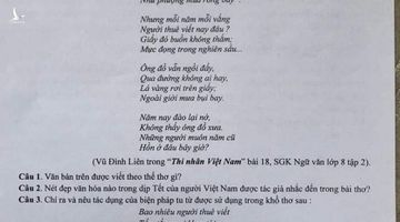 “Còn ăn Tết ta, đất nước còn nghèo” vào đề thi môn Ngữ Văn, tại sao không?