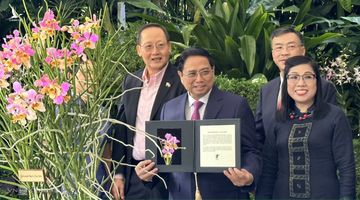 Loài hoa quý “độc nhất vô nhị” Singapore dành cho Thủ tướng và phu nhân Việt Nam