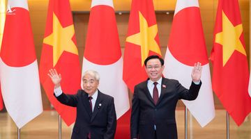 Chủ tịch Thượng viện Nhật Bản Otsuji Hidehisa kết thúc tốt đẹp chuyến thăm chính thức Việt Nam