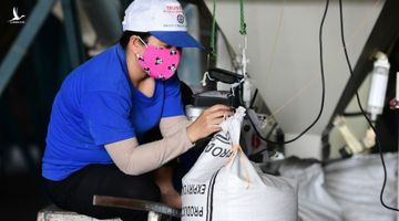 Một quốc gia mạnh tay chi tiền gấp 53 lần mua gạo Việt