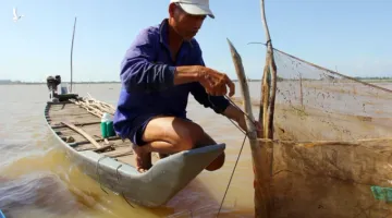 Lũ miền Tây đang lên nhanh, khả năng lên trên mức báo động 1