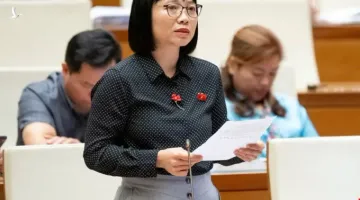 Đại biểu Quốc hội lên tiếng về vụ hoa hậu Thùy Tiên bị bắt