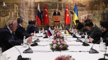Nga cân nhắc vòng đàm phán mới với Ukraine, sẽ trao thứ quan trọng cho đối phương khi hoàn thành