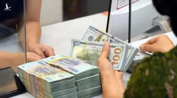 Cơ quan thuế đã rà soát 164.661 người nộp thuế bán hàng qua thương mại điện tử, truy thu 747 tỷ đồng