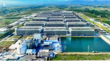 Doanh nghiệp Việt Nam đề xuất xây chung cư cao tầng nuôi heo