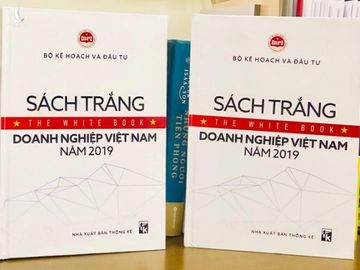 Lan dau cong bo Sach trang doanh nghiep Viet hinh anh 2 