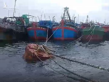 Tàu thuyền của ngư dân neo đậu trú bão trong âu cảng Bạch Long Vĩ /// Ảnh Đại Đồng