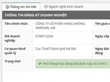 Xuat hien phap nhan mang ten Vinpearl Air, kinh doanh hang khong hinh anh 1 