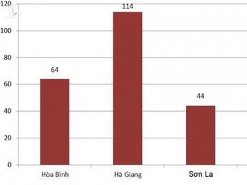 Thi THPT quoc gia 2019: 'Thi sinh dac biet' van dang... lam bai thi hinh anh 1