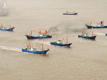 Giới chuyên gia cho rằng Trung Quốc đã điều hàng trăm tàu cá làm lực lượng dân quân hoạt động ở khu vực Biển Đông thuộc chủ quyền Việt Nam
