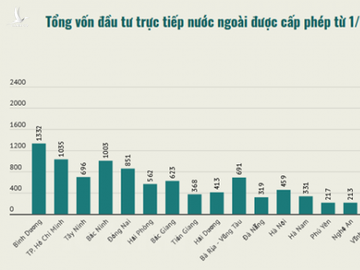 Tong von FDI thuc hien trong bay thang dat 10,6 ty USD hinh anh 2