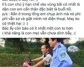 Dân phản ánh rắn hổ mang phi thân ra mổ người đi xe máy tại khu chung cư ở Hà Đông - Ảnh 5.