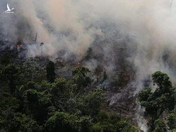 Phần lớn các vụ cháy rừng ở Brazil có nguyên nhân từ con người - Ảnh: REUTERS 