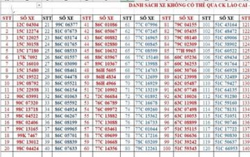 Trung Quốc bất ngờ cấm hàng trăm xe container VN qua biên giới - ảnh 4