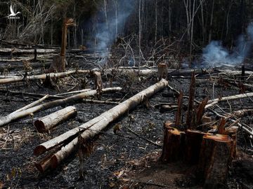 Nông dân đốt rừng ở Novo Airo, Brazil - Ảnh: REUTERS 