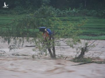 Chàng trai cứu người trong lũ dữ rồi tự cứu mình khi kẹt ở ngọn cây - Ảnh 1.