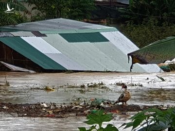 Bảo Lộc ngổn ngang sau trận lũ kinh hoàng - ảnh 6