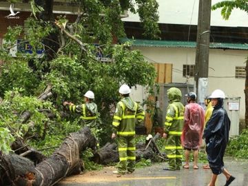 cong dien cua thu tuong ve ung pho, khac phuc hau qua mua lu do bao so 3 hinh 1