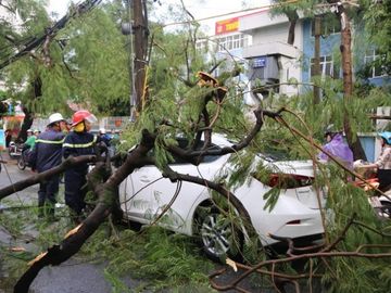 Hà Nội mưa gió khủng khiếp, 1 người bị cây đè tử vong - ảnh 1