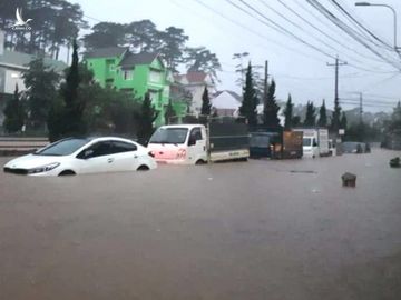 Mưa không ngừng nghỉ, phố núi Đà Lạt chìm sâu trong biển nước