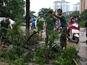 mua-to-gio-giat-nhu-bao-hang-chuc-cay-gay-do-trong-o-kdt-linh-dam-8