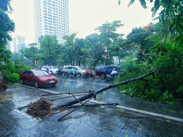 Cay do hang loat o Ha Noi, Hai Phong sau bao Wipha hinh anh 4 