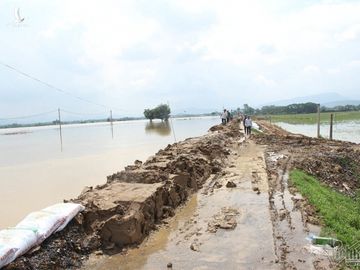 Nghìn mét tường chắn sóng gần 40 tỷ bảo vệ Thủ đô khỏi ngập lụt