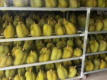 Sầu riêng Việt Nam bơi sang Mỹ, giá 185.000 đồng/kg - Ảnh 2.