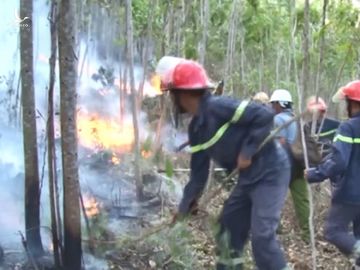 Cháy 50 ha rừng ở Phú Yên, hàng trăm cán bộ, chiến sĩ tham gia chữa cháy - ảnh 2