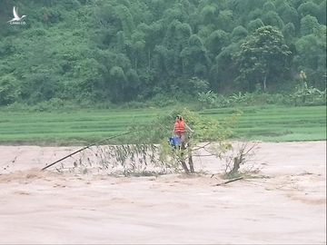 Anh Huy đang mắc trên ngon cây giữ dòng suối dữ - Ảnh: HÀ ĐỒNG