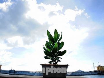 Lính trẻ Trường Sa - ảnh 9