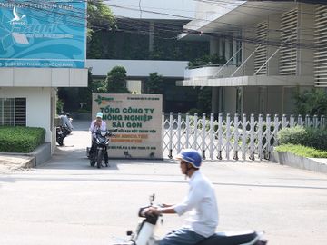 Trụ sở Sagri.