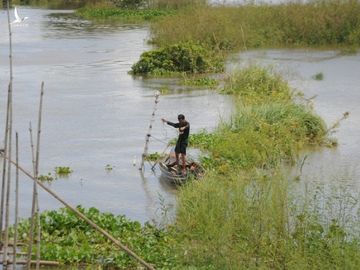 Mưu sinh mùa nước nổi miền Tây - ảnh 1