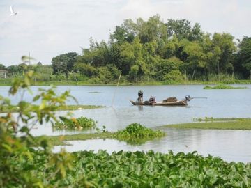 Mưu sinh mùa nước nổi miền Tây - ảnh 2