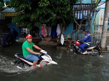 Triều cường kỷ lục, nước sông nước cống bủa vây nhiều tuyến đường TP.HCM - Ảnh 6.