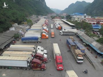 Coi Trung Quốc là thị trường dễ tính, xuất khẩu nông thủy sản nhận trái đắng - Ảnh 1.