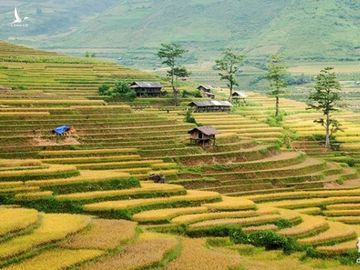 Chiem nguong phong canh tuyet dep xu Mu Cang Chai khi mua Thu toi hinh anh 12