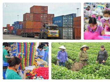 wb: việt nam cần có những cải cách táo bạo để kinh tế "cất cánh" hình 2 wb: viet nam can co nhung cai cach tao bao de kinh te "cat canh" hinh 2