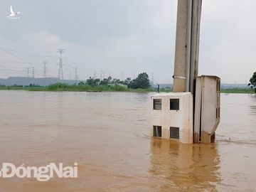 Đồng Nai mưa lớn ngập hàng trăm ngôi nhà, 1 người chết do lũ cuốn