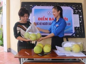 Hơn một ngày triển khai đã có hơn 8.000 quả bưởi được các tình nguyện viên bán hết 