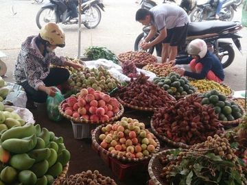 Mỗi ngày, Việt Nam chi gần 60 tỷ đồng nhập rau quả từ Trung Quốc 