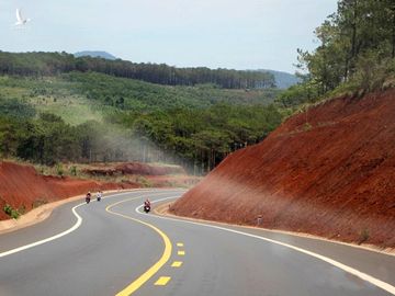 Những rừng thông rải rác hai bên đường là điều hiếm có ở những cung đường khác.