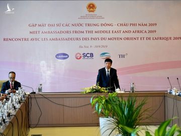 Gap go Dai su cac nuoc Trung Dong- chau Phi, doanh nghiep ho hoi: Chung toi nhin thay nhieu co hoi tot o Viet Nam hinh anh 1