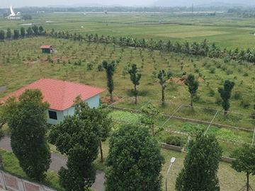 Kiểm điểm Giám đốc Sở KH-ĐT Hà Nội vụ giao đất trái luật cho mẹ và chị gái - ảnh 2