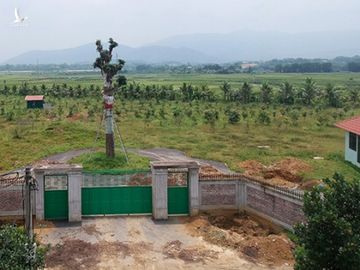 Kiểm điểm Giám đốc Sở KH-ĐT Hà Nội vụ giao đất trái luật cho mẹ và chị gái - ảnh 1