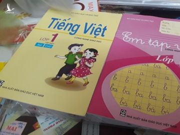 GS Hồ Ngọc Đại nói gì về bộ sách giáo khoa của mình bị loại ngay vòng đầu? - ảnh 1