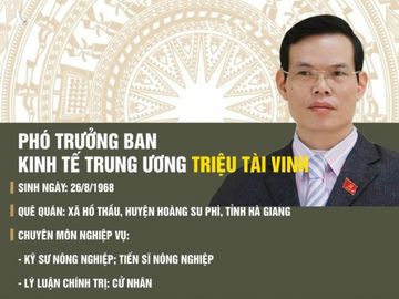 Ông Triệu Tài Vinh: 'Tôi phải đối mặt với thực tế và vượt qua' - ảnh 1