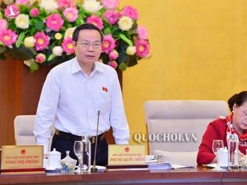 'Xin đừng đưa em vào quy hoạch về Quốc hội'