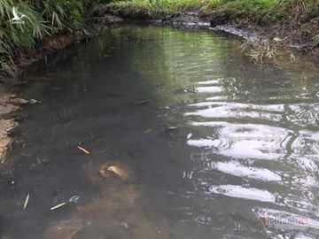 nuoc sinh hoat boc mui o ha noi:bao gio dan co "nuoc sach" dung nghia? hinh 3